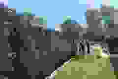 106004993_218648672951723_6975899039355128423_n-1920w