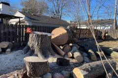 Chainsawandstump-1920w