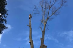 IMG-20191109-WA0002-1920w