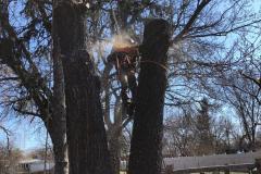 IMG-20200307-WA0009-1920w