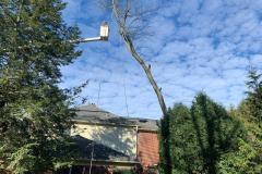 IMG-20201112-WA0028-1920w