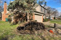 IMG-20201116-WA0002-1920w