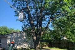 received_271576180734546-1920w