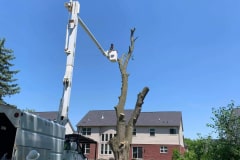 received_3305775669466656-1920w