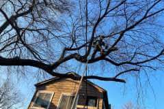 received_386961019394885-1920w