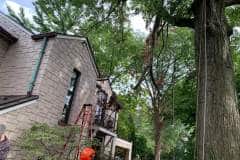 received_725647071619477-1920w