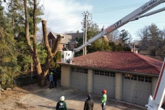 DCIM100MEDIADJI_0596.JPG