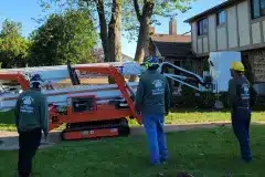 metro-detroit-tree-firewood