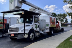 crane-tree-removal-truck