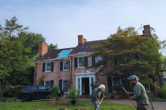 emergency-tree-service-after