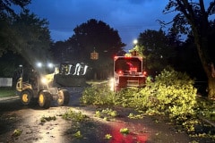 emergency-tree-service-night