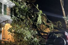emergency-tree-service