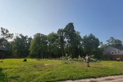 tree-removal
