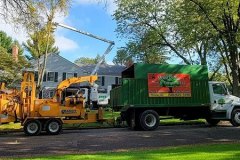 tree-trimming-service-home