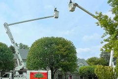 tree-trimming-service-michigan