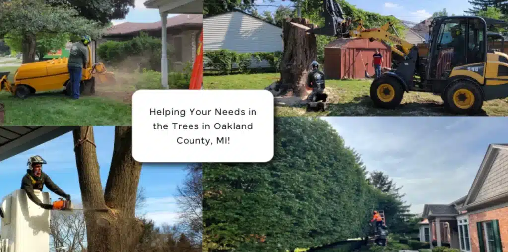 Tree Service in Oakland County