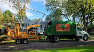 Fully Insured Tree Service | Metro Detroit Tree & Firewood