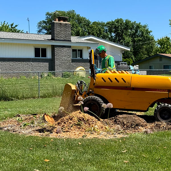 Stump Grinding