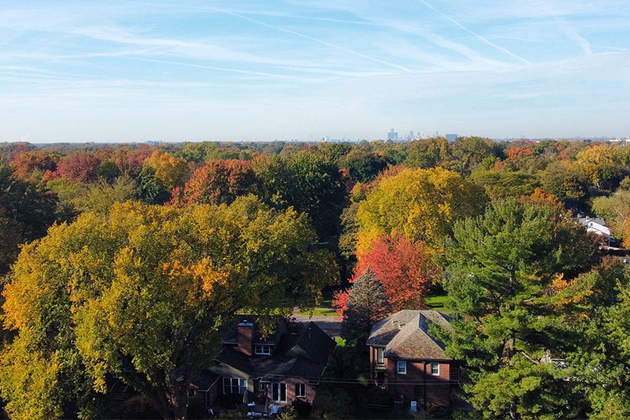 Trees changing colors