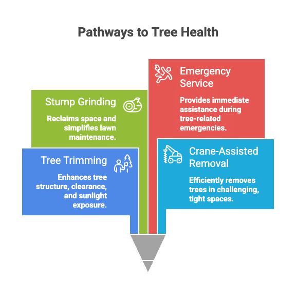 Residential and Commercial Tree Service Solutions in Roseville MI