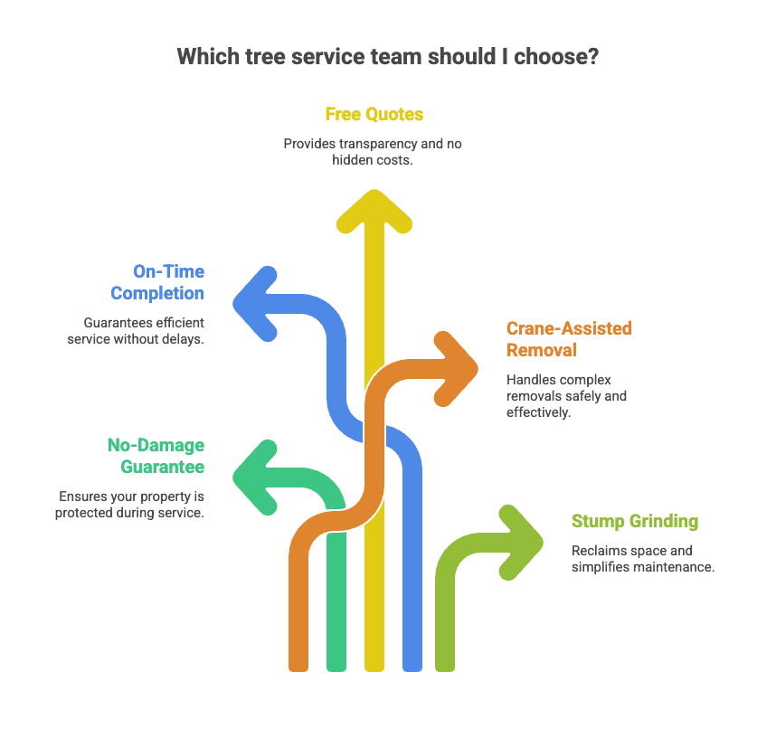 Tree Service in Sterling Heights MI