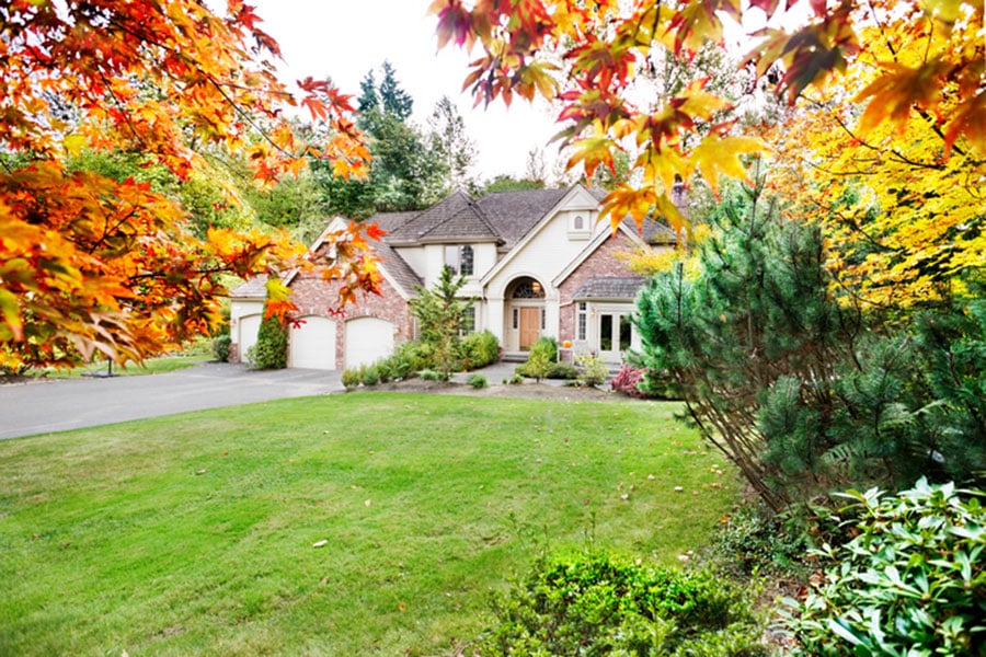 A large suburban house with a manicured lawn and a three-car garage, surrounded by trees showcasing vibrant autumn foliage, benefits from expert tree management to maintain its stunning colors and healthy landscape.