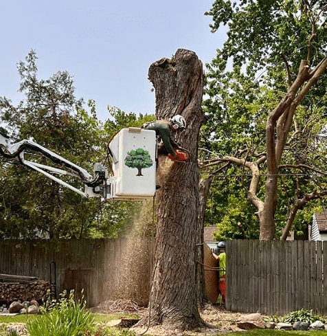 A worker in safety gear cuts a large tree trunk with a chainsaw from a raised bucket lift, while another Tree Service professional stands nearby in a fenced Huntington Woods, MI backyard. Sawdust falls as branches and greenery surround the scene.