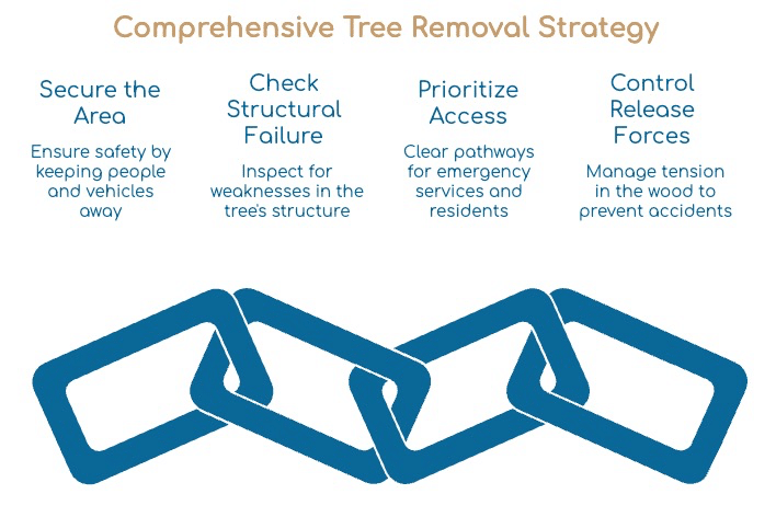 Infographic titled “Comprehensive Tree Removal Strategy” for Tree Service in Southfield MI, with four steps: Secure the Area, Check Structural Failure, Prioritize Access, and Control Release Forces. Linked chain icons appear below each safety tip.