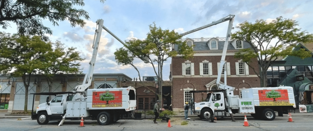 Two Tree Service trucks with extended hydraulic lifts are parked on a street in Southfield MI, as workers trim trees near a brick building. Orange cones mark the work zone and freshly cut branches lie on the ground.