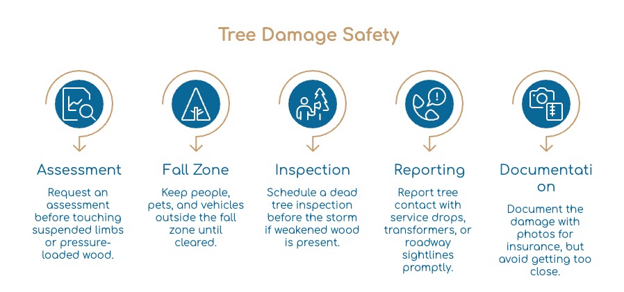 Infographic titled Tree Damage Safety by New Haven MI Tree Service with five steps: Assessment, Fall Zone, Inspection, Reporting, and Documentation, each with an icon and brief safety instructions beneath.