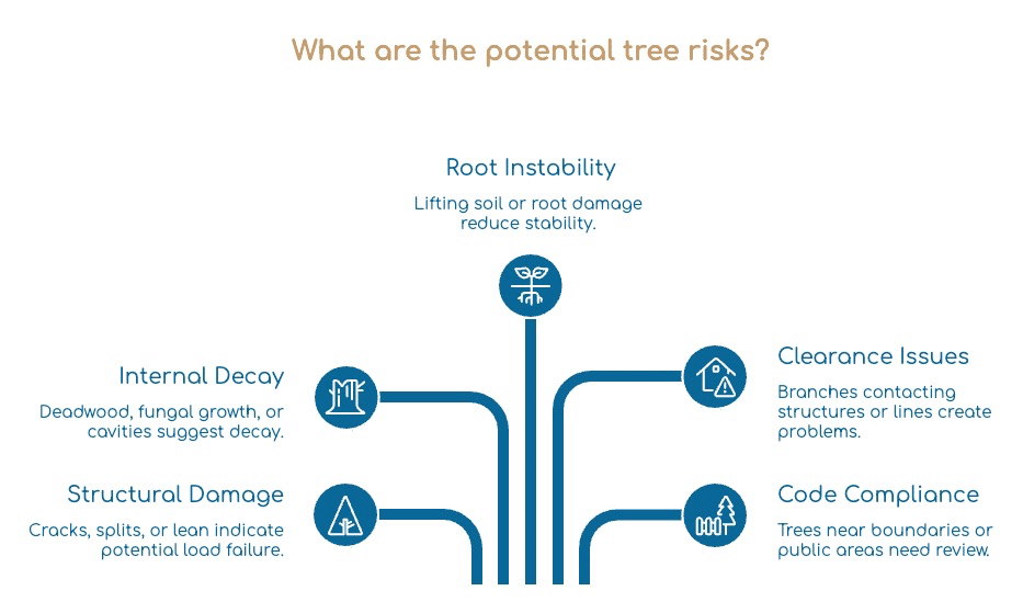 Infographic by New Baltimore MI Tree Service listing potential tree risks: root instability, internal decay, structural damage, clearance issues, and code compliance—each with an icon and brief description branching from the center.
