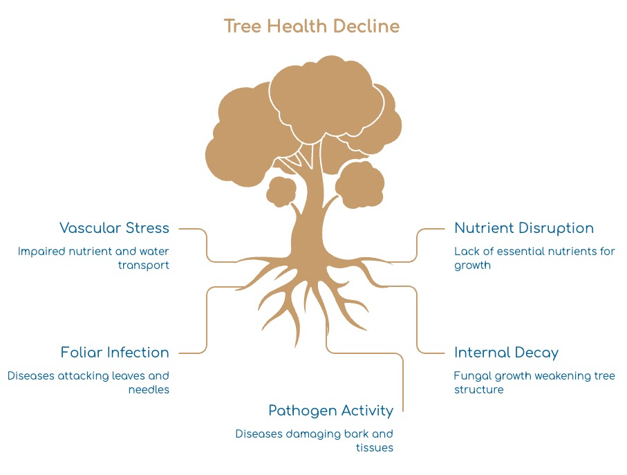 Diagram of a tree showing five causes of tree health decline: vascular stress, foliar infection, pathogen activity, nutrient disruption, and internal decay—each with brief effects. Created by Tree Service experts in Harrison Township, MI.
