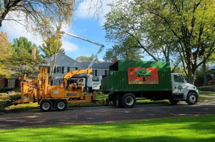 A yellow wood chipper and a green truck with a Tree Service logo are parked on a residential street in Detroit, MI, processing tree branches in front of houses and trees. A yellow wood chipper and a green truck with a Tree Service logo are parked on a residential street in Detroit, MI, processing tree branches in front of houses and trees.