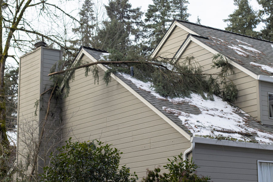 A fallen tree branch rests on the roof of a beige house, causing visible storm damage. Snow covers parts of the roof, and evergreen trees are visible in the background.