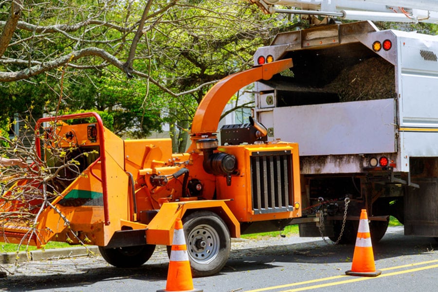 An orange wood chipper from a licensed tree service shreds branches into a truck on a street, with orange safety cones placed around the equipment. An orange wood chipper from a licensed tree service shreds branches into a truck on a street, with orange safety cones placed around the equipment.