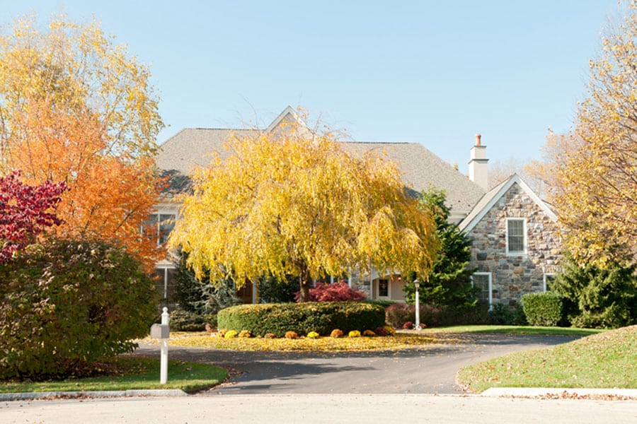 A large stone house with a gray roof is surrounded by colorful autumn trees and bushes, all benefitting from expert tree management. Bright yellow and orange leaves cover the driveway and lawn under a clear blue sky.