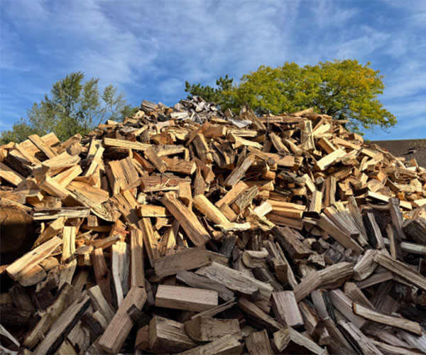 A large, towering pile of split firewood against a blue sky.